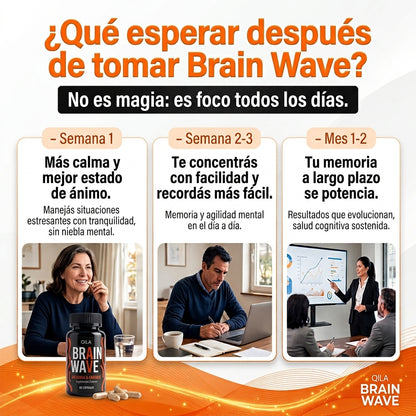 Brain Wave | MEMORIA ENFOQUE CALMA