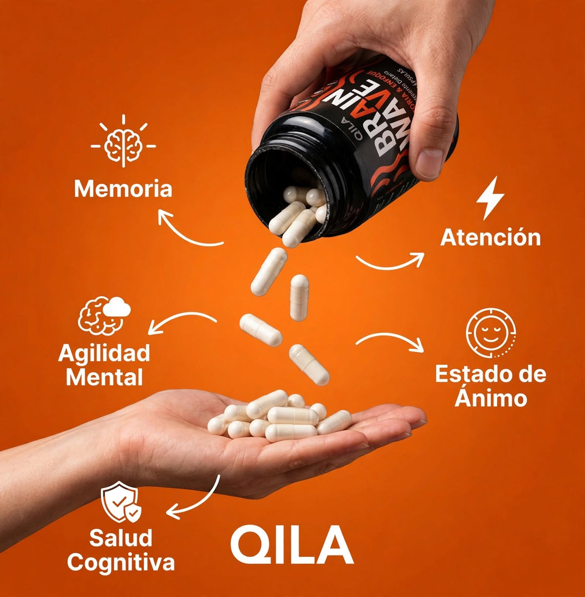 Brain Wave | MEMORIA ENFOQUE CALMA